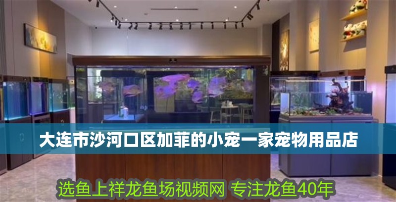 大連市沙河口區加菲的小寵一家寵物用品店