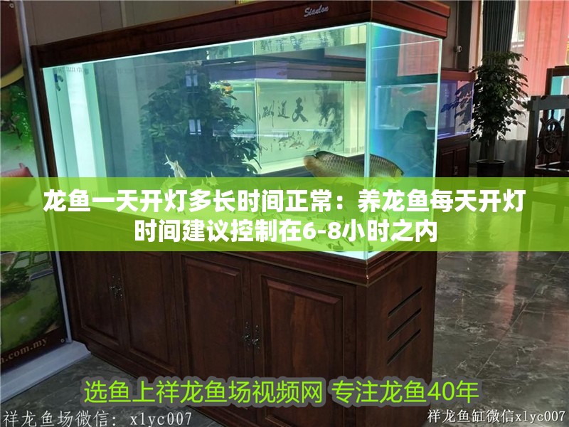 龍魚一天開燈多長時間正常：養(yǎng)龍魚每天開燈時間建議控制在6-8小時之內