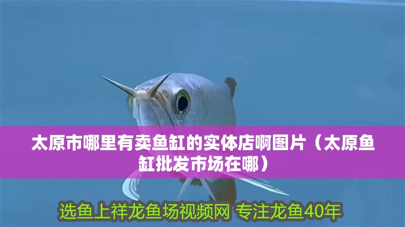 太原市哪里有賣魚缸的實體店啊圖片（太原魚缸批發市場在哪） 太原市哪里有賣魚缸的實體店啊圖片（太原魚缸批發市場在哪） 魚缸百科