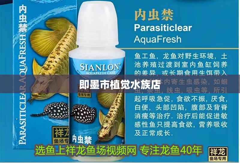 即墨市植覺水族店 即墨市植覺水族店 全國水族館企業名錄