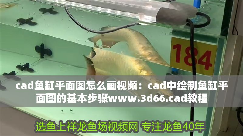 cad魚缸平面圖怎么畫視頻：cad中繪制魚缸平面圖的基本步驟www.3d66.cad教程