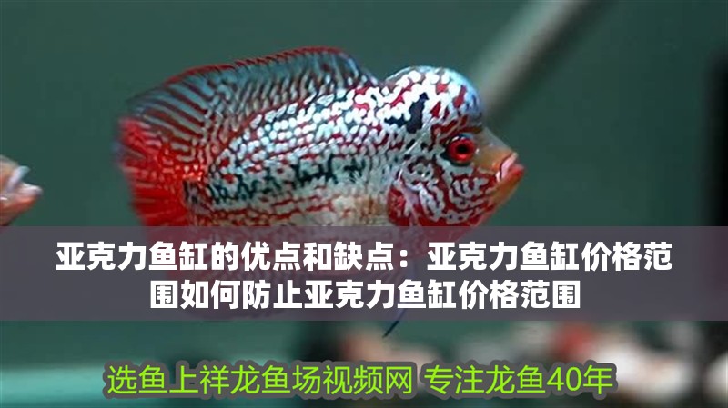 亞克力魚缸的優點和缺點：亞克力魚缸價格范圍如何防止亞克力魚缸價格范圍