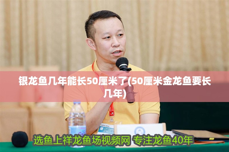 銀龍魚(yú)幾年能長(zhǎng)50厘米了(50厘米金龍魚(yú)要長(zhǎng)幾年)