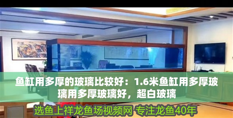 魚缸用多厚的玻璃比較好：1.6米魚缸用多厚玻璃用多厚玻璃好，超白玻璃