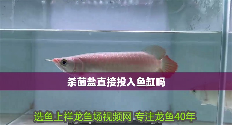 殺菌鹽直接投入魚缸嗎 殺菌鹽直接投入魚缸嗎 龍魚論壇
