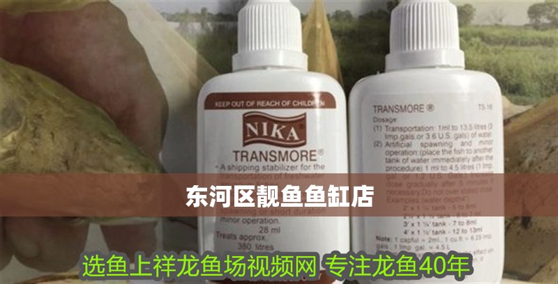 東河區(qū)靚魚魚缸店