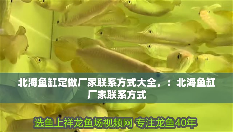 北海魚缸定做廠家聯系方式大全，：北海魚缸廠家聯系方式
