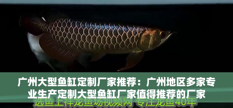 廣州大型魚缸定制廠家推薦：廣州地區多家專業生產定制大型魚缸廠家值得推薦的廠家