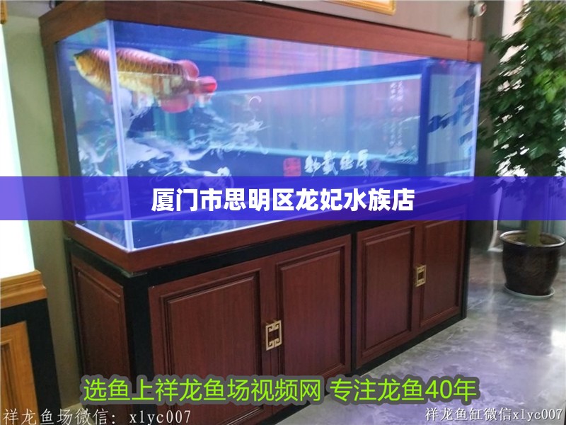 廈門市思明區龍妃水族店 廈門市思明區龍妃水族店 全國水族館企業名錄