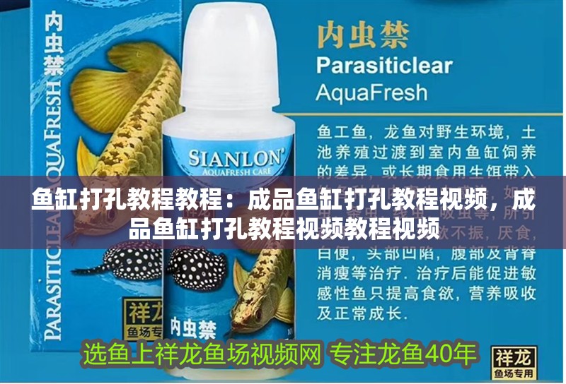 魚缸打孔教程教程：成品魚缸打孔教程視頻，成品魚缸打孔教程視頻教程視頻