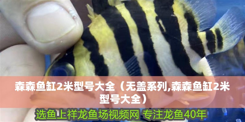 森森魚缸2米型號大全（無蓋系列,森森魚缸2米型號大全）