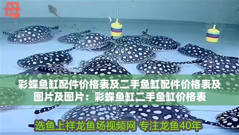 彩蝶魚缸配件價格表及二手魚缸配件價格表及圖片及圖片：彩蝶魚缸二手魚缸價格表