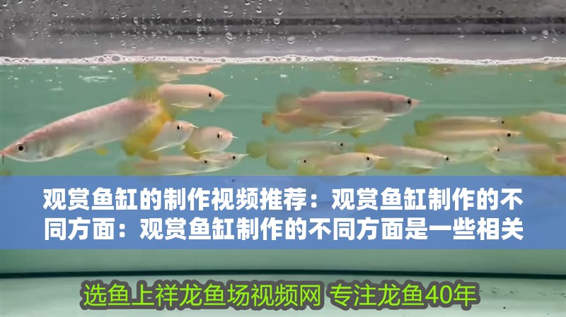 觀賞魚缸的制作視頻推薦：觀賞魚缸制作的不同方面：觀賞魚缸制作的不同方面是一些相關的視頻推薦：