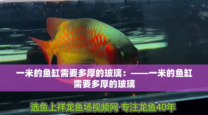 一米的魚(yú)缸需要多厚的玻璃：——一米的魚(yú)缸需要多厚的玻璃