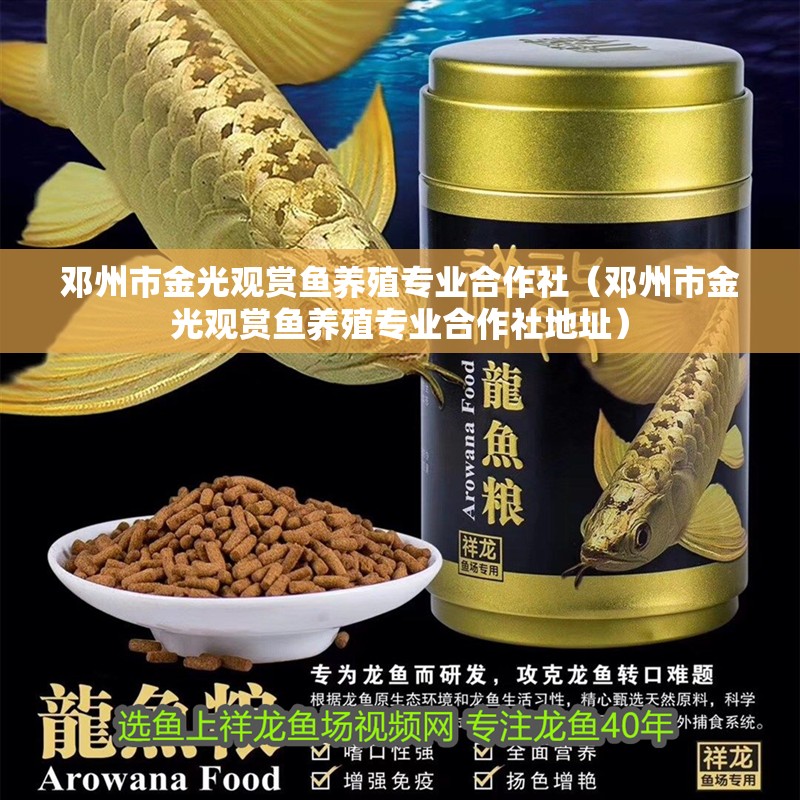 鄧州市金光觀賞魚(yú)養(yǎng)殖專業(yè)合作社（鄧州市金光觀賞魚(yú)養(yǎng)殖專業(yè)合作社地址）