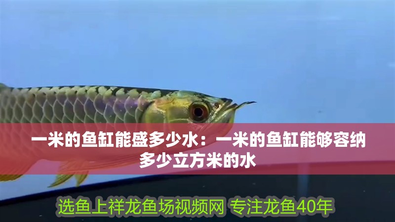 一米的魚缸能盛多少水：一米的魚缸能夠容納多少立方米的水