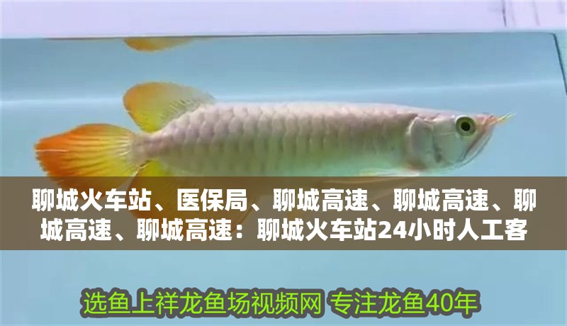 <strong><mark>聊城</mark></strong>火車站、醫保局、<strong><mark>聊城</mark></strong>高速、<strong><mark>聊城</mark></strong>高速、<strong><mark>聊城</mark></strong>高速、<strong><mark>聊城</mark></strong>高速：<strong><mark>聊城</mark></strong>火車站24小時人工客服電話號碼前加撥長途區號