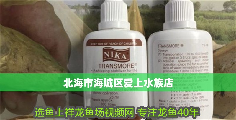 <strong><mark>北海</mark></strong>市海城區愛上水族店