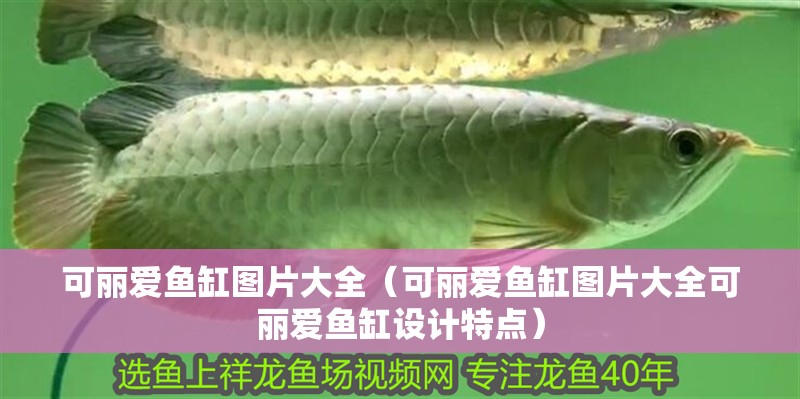 可麗愛魚缸圖片大全（可麗愛魚缸圖片大全可麗愛魚缸設(shè)計特點(diǎn)）