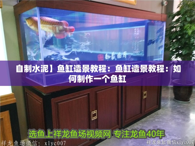 自制水泥】魚缸造景教程：魚缸造景教程：如何制作一個魚缸