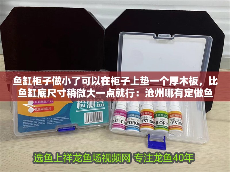 魚缸造景先放沙還是先放水(魚缸造景先鋪沙還是先放石頭) 魚缸柜子做小了可以在柜子上墊一個厚木板,比魚缸底尺寸稍微大一點就行:滄州哪有定做魚缸的--臻寶龍紅魚是最招財最有靈性的魚 魚缸百科 魚缸柜子做小了可以在柜子上墊一個厚木板,比魚缸底尺寸稍微大一點就行:滄州哪有定做魚缸的--臻寶龍紅魚是最招財最有靈性的魚 魚缸柜子做小了可以在柜子上墊一個厚木板,比魚缸底尺寸稍微大一點就行:滄州哪有定做魚缸的--臻寶龍紅魚是最招財最有靈性的魚 魚缸百科