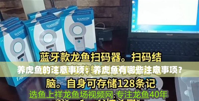 養虎魚的注意事項：養虎魚有哪些注意事項？