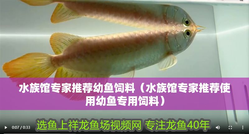 水族館專家推薦幼魚飼料（水族館專家推薦使用幼魚專用飼料）