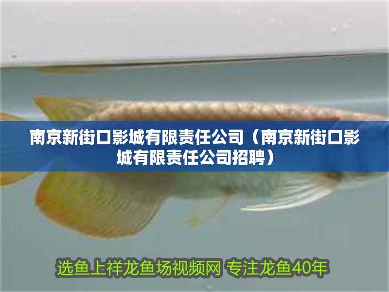 魚缸過濾器選購指南:自制魚缸過濾器魚缸上置過濾器對于養魚愛好者的必備知識 南京新街口影城有限責任公司(南京新街口影城有限責任公司招聘) 全國水族館企業名錄 南京新街口影城有限責任公司(南京新街口影城有限責任公司招聘) 南京新街口影城有限責任公司(南京新街口影城有限責任公司招聘) 全國水族館企業名錄