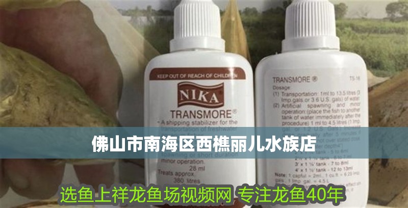 佛山市南海區西樵麗兒水族店 佛山市南海區西樵麗兒水族店 全國水族館企業名錄