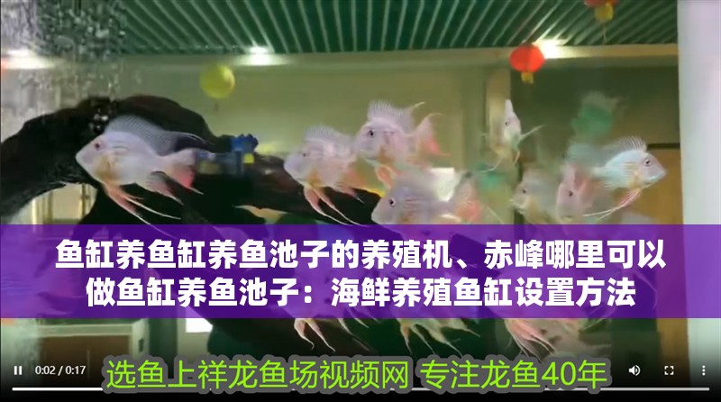 魚缸養(yǎng)魚缸養(yǎng)魚池子的養(yǎng)殖機(jī)、赤峰哪里可以做魚缸養(yǎng)魚池子：海鮮養(yǎng)殖魚缸設(shè)置方法 魚缸養(yǎng)魚缸養(yǎng)魚池子的養(yǎng)殖機(jī)、赤峰哪里可以做魚缸養(yǎng)魚池子：海鮮養(yǎng)殖魚缸設(shè)置方法 魚缸百科