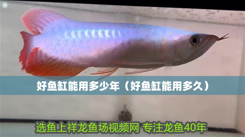 好魚缸能用多少年（好魚缸能用多久）