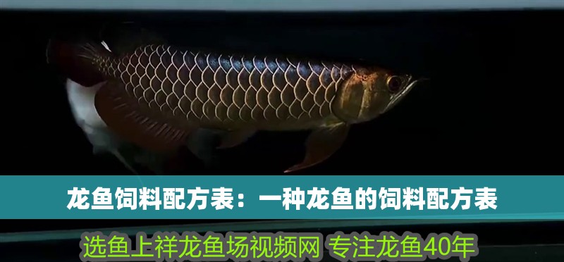 龍魚飼料配方表：一種龍魚的飼料配方表 龍魚飼料配方表：一種龍魚的飼料配方表 龍魚百科
