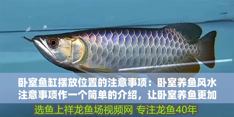 臥室魚缸擺放位置的注意事項：臥室養魚風水注意事項作一個簡單的介紹，讓臥室養魚更加吉利