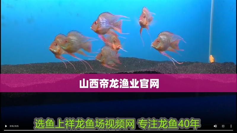 山西帝龍漁業(yè)官網(wǎng)