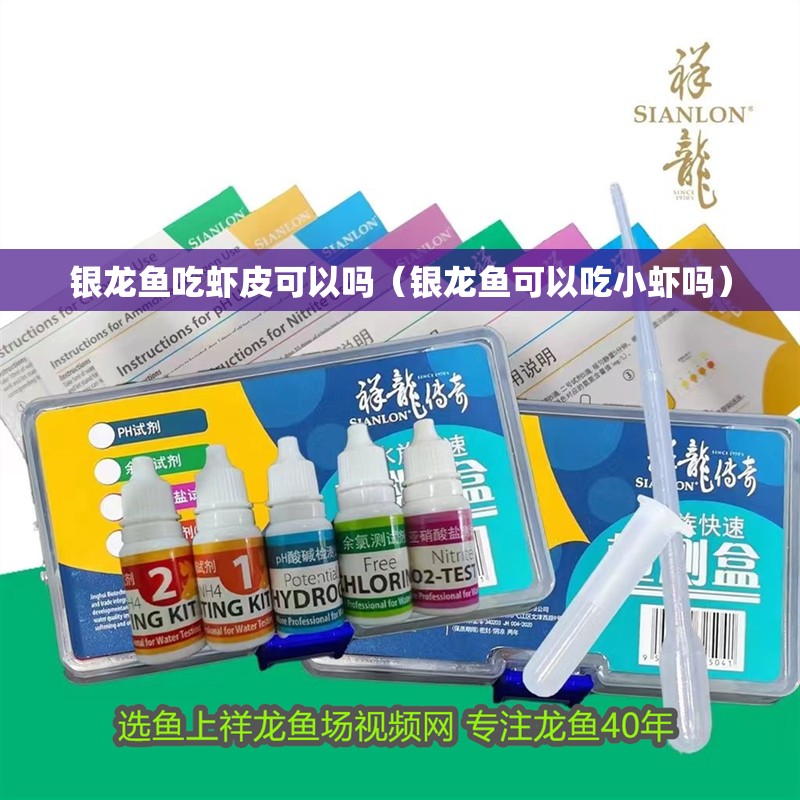 我的虎魚真菌感染了要怎么處理 銀龍魚吃蝦皮可以嗎(銀龍魚可以吃小蝦嗎) 銀龍魚百科 銀龍魚吃蝦皮可以嗎(銀龍魚可以吃小蝦嗎) 銀龍魚吃蝦皮可以嗎(銀龍魚可以吃小蝦嗎) 銀龍魚百科