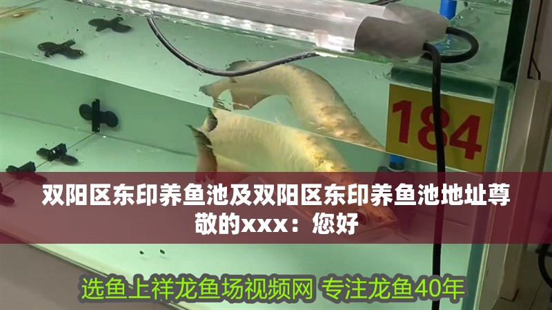 雙陽區東印養魚池及雙陽區東印養魚池地址尊敬的xxx：您好 雙陽區東印養魚池及雙陽區東印養魚池地址尊敬的xxx：您好 全國水族館企業名錄