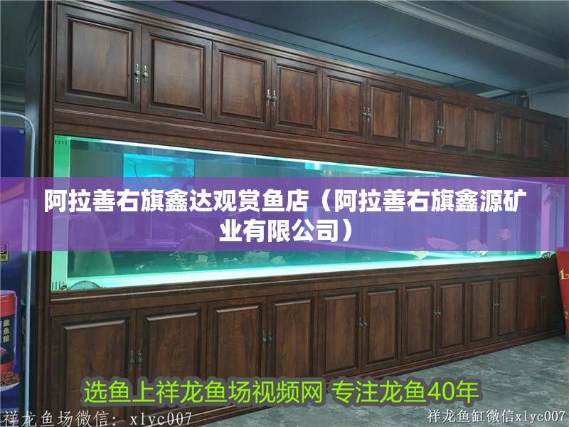 阿拉善右旗鑫達觀賞魚店（阿拉善右旗鑫源礦業(yè)有限公司）