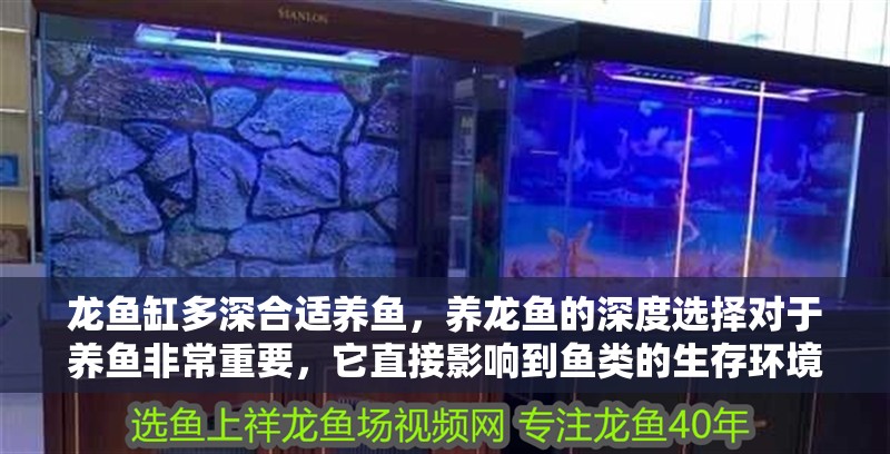龍魚缸多深合適養魚，養龍魚的深度選擇對于養魚非常重要，它直接影響到魚類的生存環境和健康