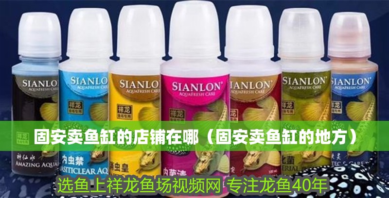 <strong><mark>固安</mark></strong>賣(mài)魚(yú)缸的店鋪在哪（<strong><mark>固安</mark></strong>賣(mài)魚(yú)缸的地方）