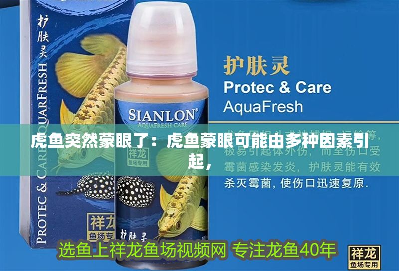 虎魚突然蒙眼了：虎魚蒙眼可能由多種因素引起，