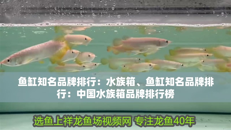 魚缸知名品牌排行：水族箱、魚缸知名品牌排行：中國水族箱品牌排行榜