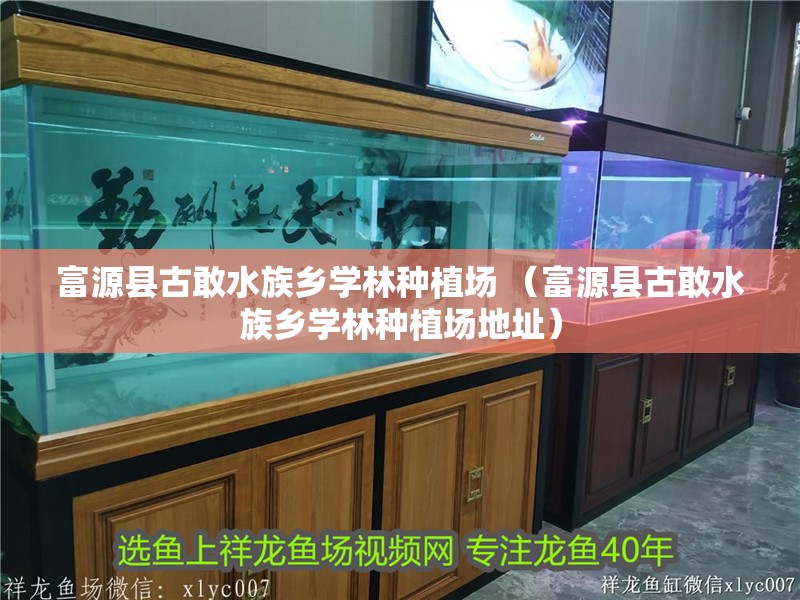 富源縣古敢水族鄉學林種植場 （富源縣古敢水族鄉學林種植場地址）
