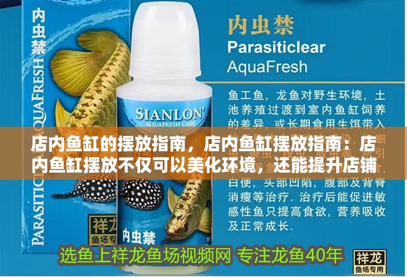 店內(nèi)魚缸的擺放指南，店內(nèi)魚缸擺放指南：店內(nèi)魚缸擺放不僅可以美化環(huán)境，還能提升店鋪風(fēng)水效應(yīng)