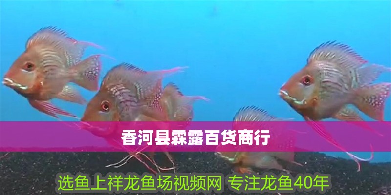 <strong><mark>香河</mark></strong>縣霖露百貨商行