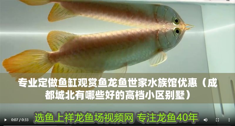 專業(yè)定做魚缸觀賞魚龍魚世家水族館優(yōu)惠（成都城北有哪些好的高檔小區(qū)別墅）