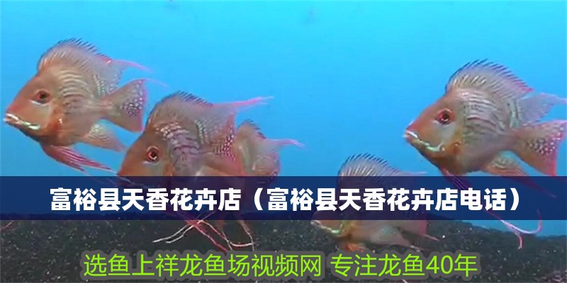 <strong><mark>富裕</mark></strong>縣天香花卉店（<strong><mark>富裕</mark></strong>縣天香花卉店電話）