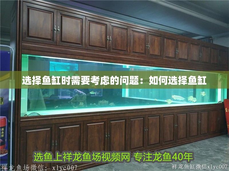 選擇魚缸時(shí)需要考慮的問題：如何選擇魚缸