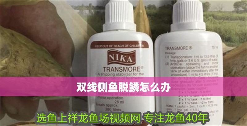 雙線側(cè)魚脫鱗怎么辦