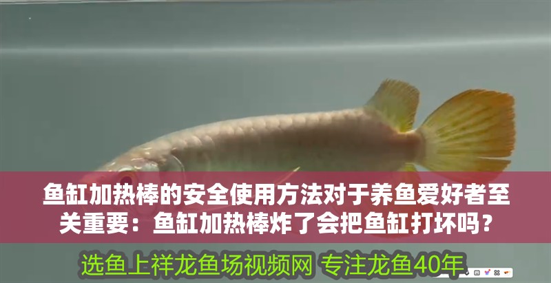 魚缸加熱棒的安全使用方法對于養(yǎng)魚愛好者至關(guān)重要：魚缸加熱棒炸了會把魚缸打壞嗎？