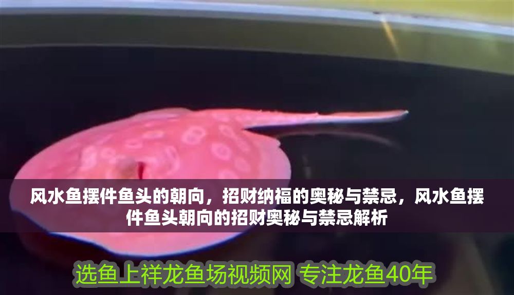 風水魚擺件魚頭的朝向，招財納福的奧秘與禁忌，風水魚擺件魚頭朝向的招財奧秘與禁忌解析
